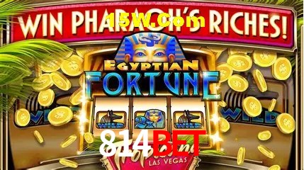 Experiência VIP 814Bet